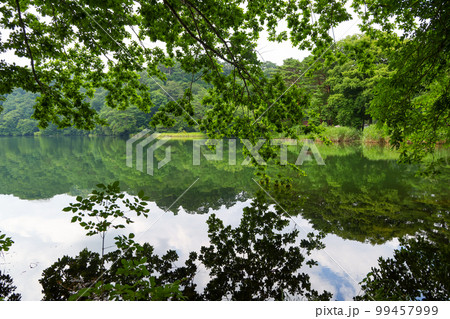 長野県　小海町　夏　松原湖 99457999