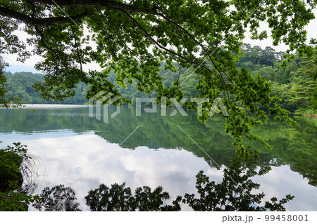 長野県 小海町 夏 松原湖 長野県 小海町 夏 松原湖 99458001