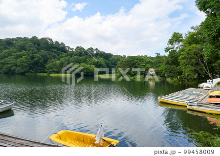 長野県 小海町 夏 松原湖 長野県 小海町 夏 松原湖 99458009