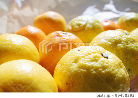 伊豆河津町の露地販売みかん「はるみ」「はるか」「はるひ」 99458292