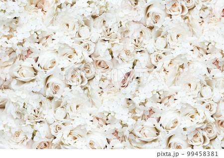 Delicate blooming festive roses and white hydrangea flowers, blossoming rose flower soft pastel background, wedding bouquet floral card, flowerwall image 99458381