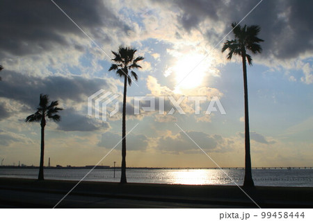 千葉フォルニア 千葉フォルニア 99458444