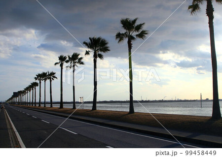 千葉フォルニア 千葉フォルニア 99458449