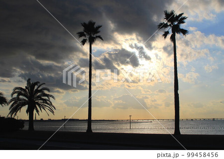 千葉フォルニア 千葉フォルニア 99458456