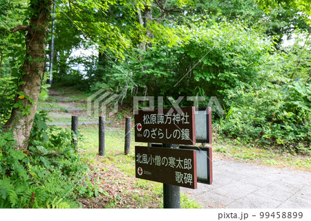 長野県 小海町 夏 松原湖 湖畔遊歩道 長野県 小海町 夏 松原湖 湖畔遊歩道 99458899