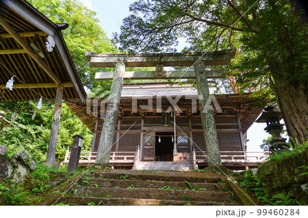 長野県 小海町 夏 松原湖 松原諏方神社 長野県 小海町 夏 松原湖 松原諏方神社 99460284
