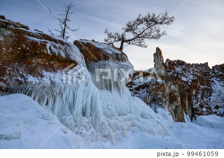 evening light through the trees and rocks. Winter Baikal. Small sea. 99461059