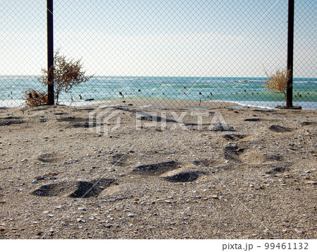 Sandy coast of the Caspian Sea. 99461132