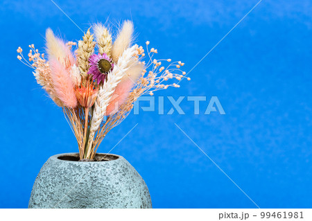 bouquet of dried plants in ceramic vase on blue 99461981