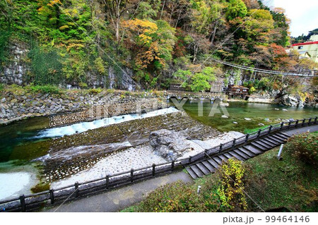 錦秋の川治温泉郷… 温泉宿の窓から眺める男鹿川 99464146