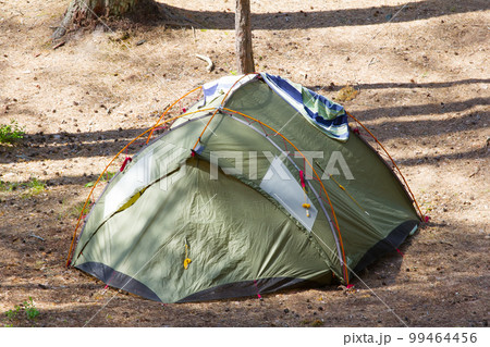 camping outdoor with tent in woods in summer camping outdoor with tent in woods in summer 99464456