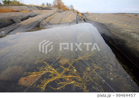 Rocky bath in sea after low tide Rocky bath in sea after low tide 99464457
