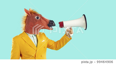 funny horse mask