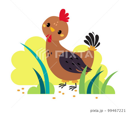 Cute hen pecking grain in grass. Poultry bird on nature cartoon vector illustration Cute hen pecking grain in grass. Poultry bird on nature cartoon vector illustration 99467221