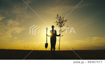farmer sunset with seedling shovel walks across field. farmer silhouette. Agriculture. farming concept. fresh new tree plant garden. planting tree park sun glare. rural lands. farm work field summer 99467477