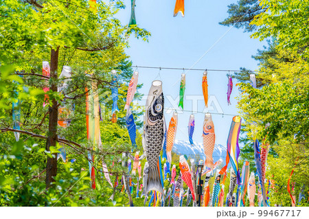 【初夏素材】大空を泳ぐ鯉のぼり【長野県】 99467717