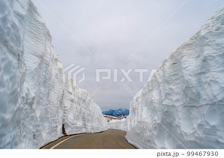 【初夏素材】乗鞍高原の雪の壁【長野県】 99467930