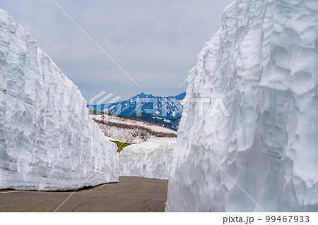 【初夏素材】乗鞍高原の雪の壁【長野県】 【初夏素材】乗鞍高原の雪の壁【長野県】 99467933
