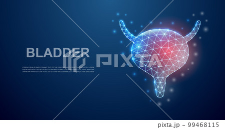 Bladder 3d low poly symbol with pain center for landing page template. Bladder pain design illustration. Polygonal organ illustration Bladder 3d low poly symbol with pain center for landing page template. Bladder pain design illustration. Polygonal organ illustration 99468115