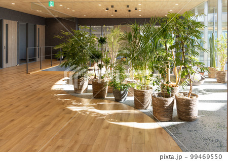 観葉植物の多いデザイナーズオフィス 99469550