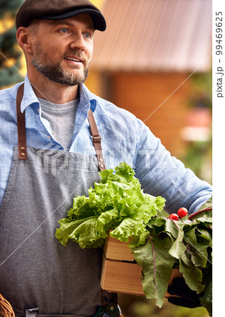 Man growing and picking vegetables outdoor 99469625