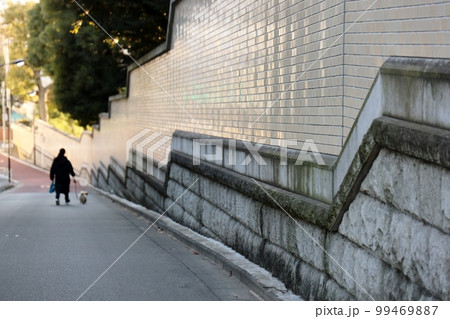 綱坂を下る婦人と犬 99469887