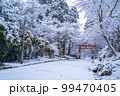 日吉大社　雪景色 99470405