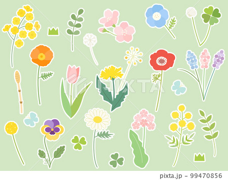 菜の花や桜・ミモザなどの春の花のイラストセット 白ふちつきバージョン 菜の花や桜・ミモザなどの春の花のイラストセット 白ふちつきバージョン 99470856