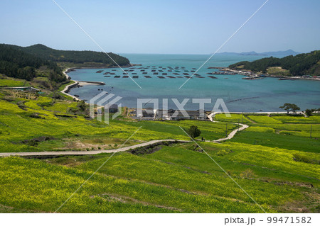 観光 海岸 浜 99471582