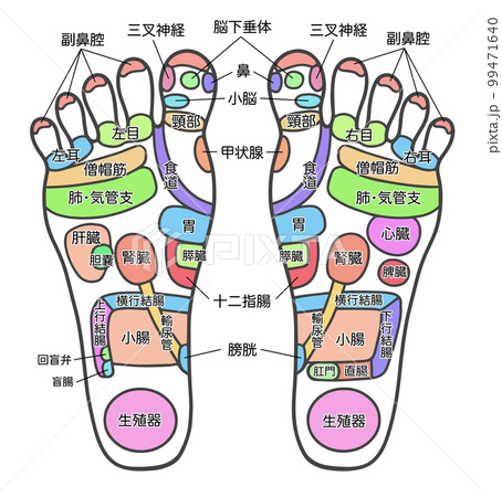 足つぼツボマップ 3枚 ツボマップ 足裏 反射区 全身 一覧表 マッサージグッズ 健康グッズ 生活習慣と戦う店ササヤ AMCyys  11周年記念イベントが - 簡易マッサージグッズ