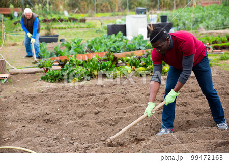 African american man gardener with mattock working in garden 99472163