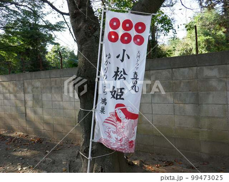 勝願寺　　　（埼玉県鴻巣市） 99473025