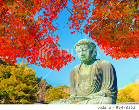大仏と紅葉 99473352
