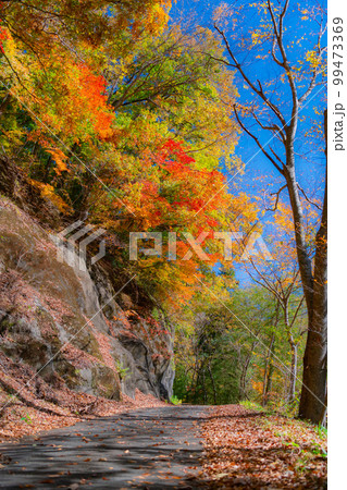 秋深まる紅葉の(庄原市) 99473369