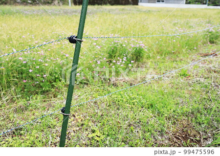 作物を害獣から守る電気柵 99475596
