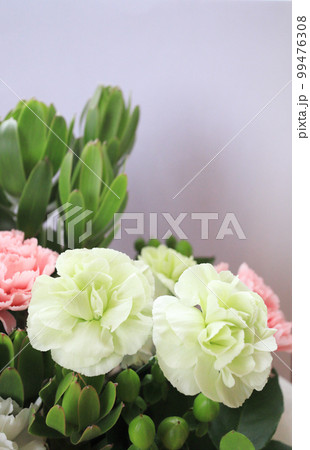 静かな薄緑色の花 99476308