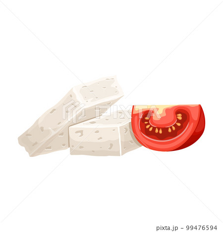cheese feta white food cartoon vector illustration 99476594