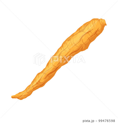 ginseng root medicine cartoon vector illustration ginseng root medicine cartoon vector illustration 99476598