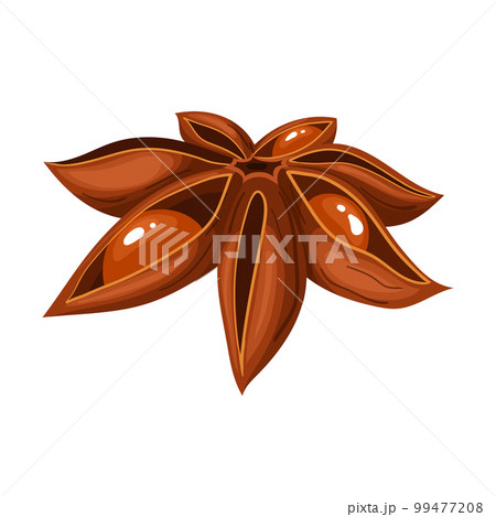 Anise Brown Dry Cartoon Vector Illustrationのイラスト素材 [99477208] - PIXTA