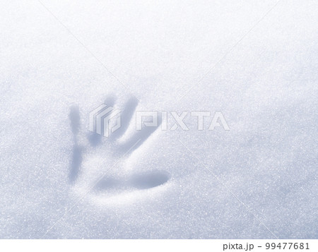 雪の上の手形。 雪の上の手形。 99477681
