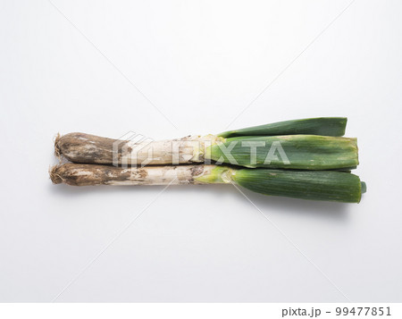 下仁田ネギ 99477851