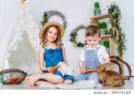 Children feeding rabbits carrots indoor learning to take care of an animals. Happy childhood Children feeding rabbits carrots indoor learning to take care of an animals. Happy childhood 99478189