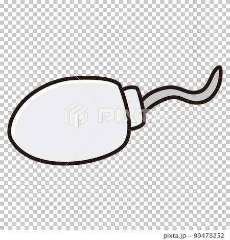 精子のイラスト 99478252