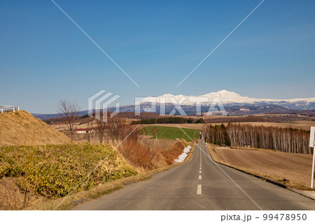 春の農村の道路と冠雪の山並み 春の農村の道路と冠雪の山並み 99478950