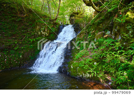 宇津江四十八滝　梵音滝　岐阜県高山市 99479069