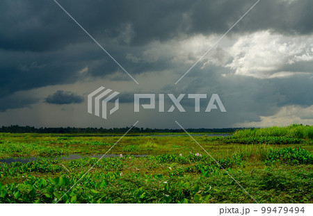 Natural water reservoir. Water sustainability. Landscape of green grass field and overcast sky. Fresh water for human consumption and use in agriculture. Sustainable sources of water. Carbon capture. Natural water reservoir. Water sustainability. Landscape of green grass field and overcast sky. Fresh water for human consumption and use in agriculture. Sustainable sources of water. Carbon capture. 99479494