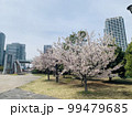 桜 99479685