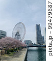 桜 99479687