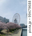 桜 99479688
