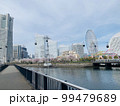 桜とみなとみらい 99479689